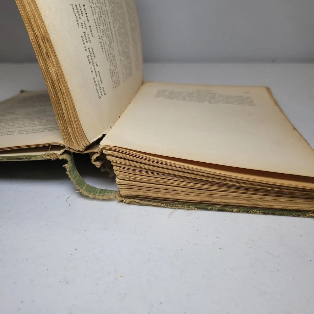 Lowneys Cook Book‎ Antique 1907 Maria Willett Howard Green Recipes